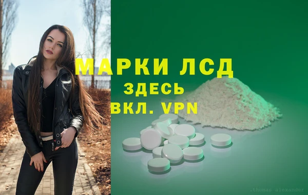 сатива Лихославль