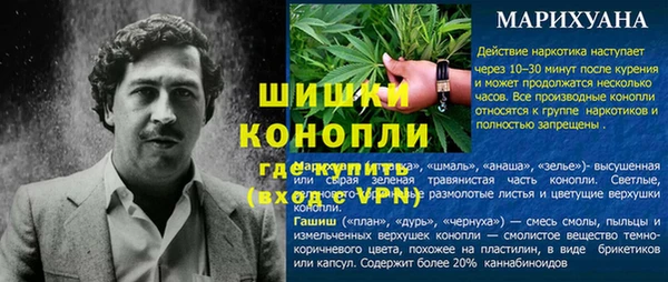 сатива Лихославль
