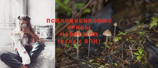 сатива Лихославль