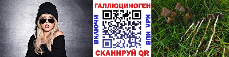 Галлюциногенные грибы Cubensis  Купить закладки  Арамиль 